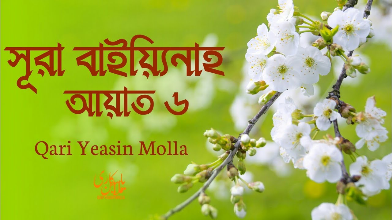 Surah Al-Bayyinah Ayah 6 | সূরা বাইয়্যিনাহ আয়াত ৬ | Qari Yeasin Molla ...