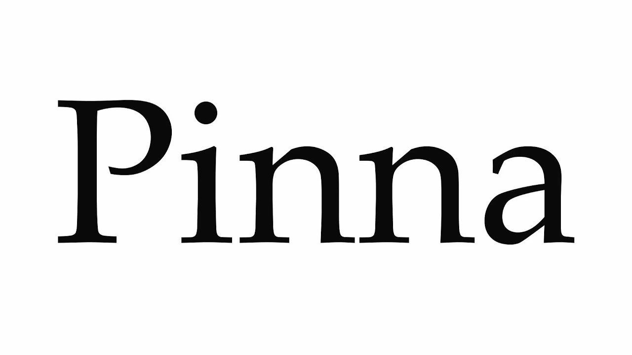 How to Pronounce Pinna YouTube