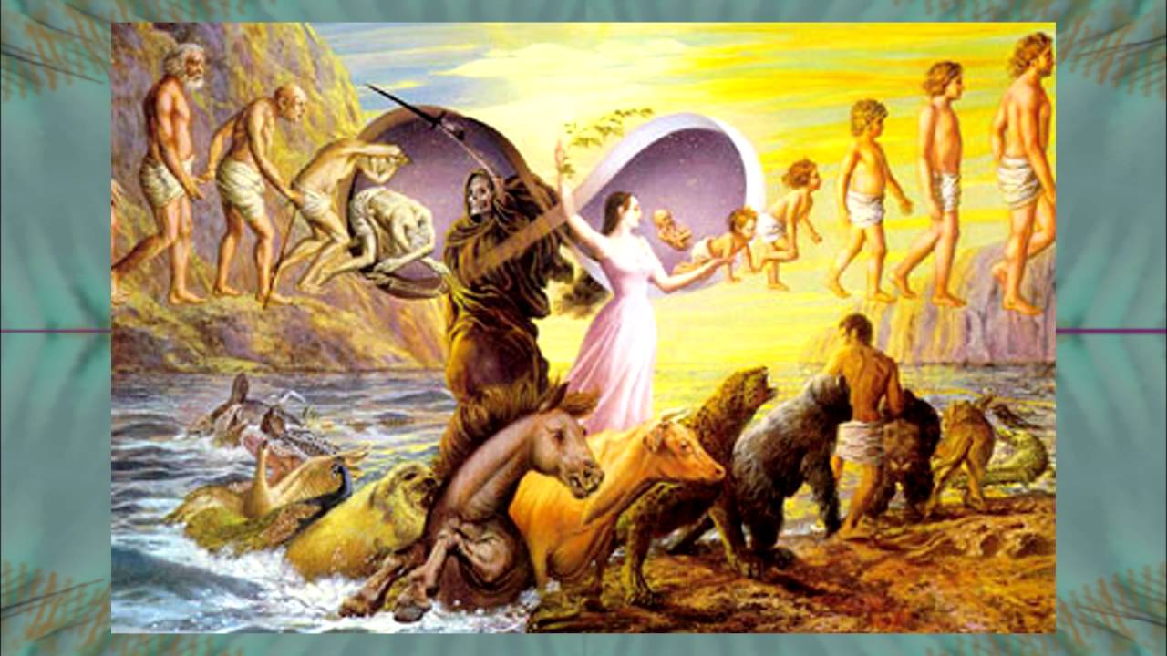Mark Devlin On Consciousness, Consent & Life Plans - YouTube