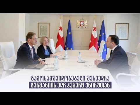 გამოსამშვიდობებელი შეხვედრა გერმანიის ელჩ ჰუბერტ ქნირშთან