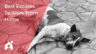 Best Excuses To Work From Home