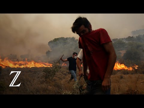 Waldbrände in Europa: