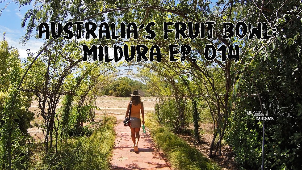 Australia's Fruit Bowl Mildura Black Pepper Abroad Ep. 014 YouTube