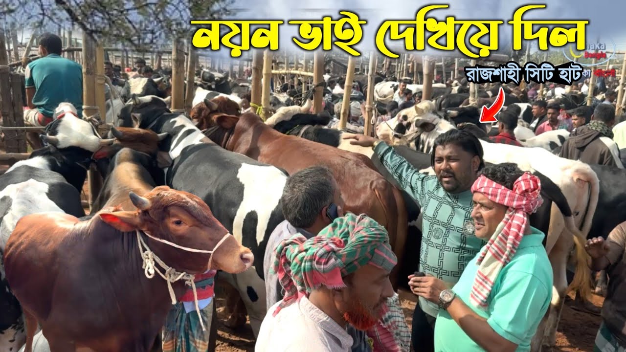 'নয়ন ভাই পারে' কম দামে গরু কিনতে 🔴live🟠 Rajshahi city haat 2026
