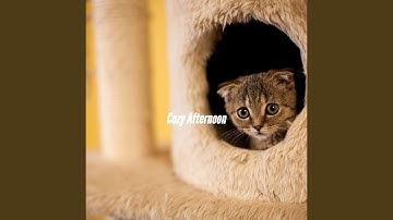 Pulsating Chilling the Details