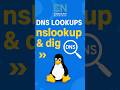 Linux Tips: DNS Lookups in Linux with nslookup &amp; dig  #shorts #linux
