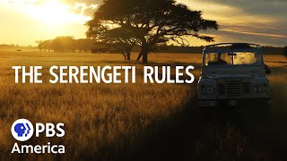 The Serengeti Rules FULL SPECIAL (2019) | NATURE | PBS America