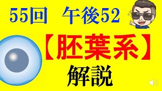 【2020年】胚葉系【確実に点数アップ】第55回午後52 理学療法士国家試験　過去問完全解説