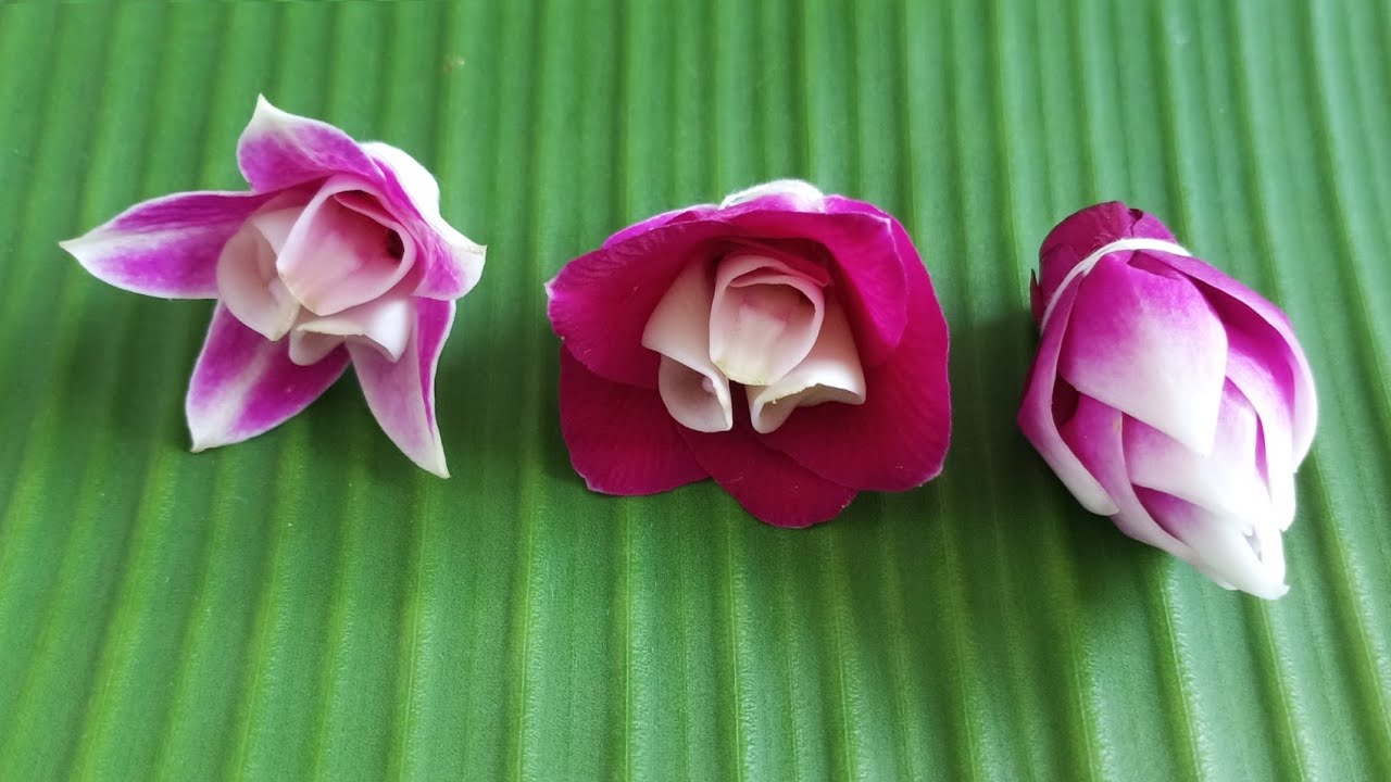 วิธีเย็บดอกข่ากล้วยไม้ 3 แบบ how to galangal Orchid flowers