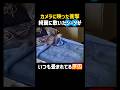 カメラに映った衝撃❗️綺麗に敷いたシーツがいつも畳まれてる原因とは？ #すごい #癒し #猫 #かわいい #面白い #爆笑 #cat #cute #funny #shorts