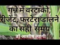 गन्ने में Virtako, Fertera, Regent, chlorpyriphos, ampligo कब डाले| sugarcane farming by Kheti salah