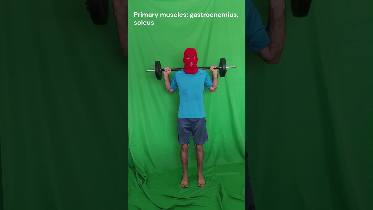 Barbell Calf Raises (demonstration)