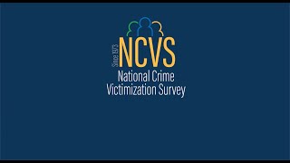 Learn More about the NCVS (Adult Participants, English) Wealth