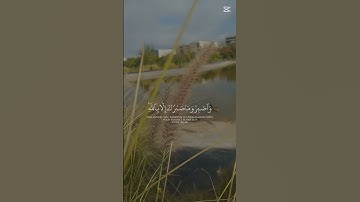 {واصبر وما صبرك إلا بالله} 🤎💚 | سورة النحل ، الآية 127