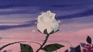 Bloom by Pieper Beats But s l o w e d