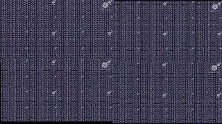 Rai Bumpers Dexaparison