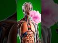 What Happens Inside Your Body When You eat cotton candy 🍡🍭