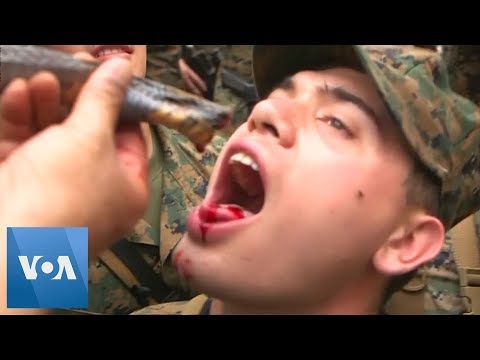 US Marines Drink Cobra Blood During Jungle Survival War Games in Thailand