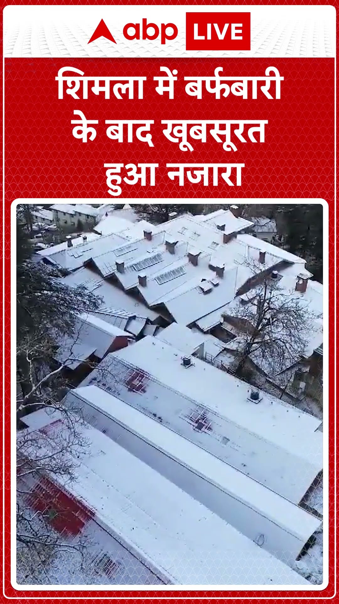 Snowfall in Himachal Pradesh: शिमला में बर्फबारी के बाद खूबसूरत हुआ नजारा #abpnewsshorts