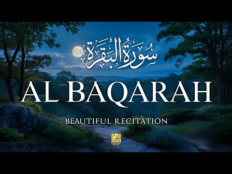 Surah Al-Baqarah (سورة البقره) | Powerful Quran Tilawat for Protection & Blessings | Alaa Aqel