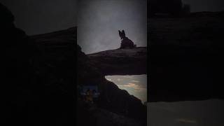 title #therian #nonbinary #nature #ocean #fypviralシ #fyp #comedy #subscribe #dusk #seawolf #weird