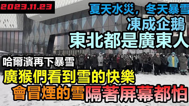 哈尔滨下起会冒烟的雪！东北大街上都是广东人，隔着屏幕都喊冷，南方人看到雪激动起来！排队的人像极北极科考队!哈尔滨陷入冰封世界，#东北现状#东北旅游#哈尔滨现状#真实购物团#寒潮#童话世界#大雪 - 天天要闻