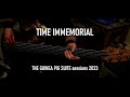 Electronic performers air cover by time immemorial