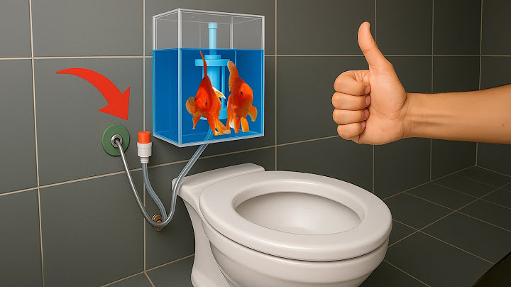 No one believed I turned a toilet into a living aquarium until they saw this video!| Plumbing Tools