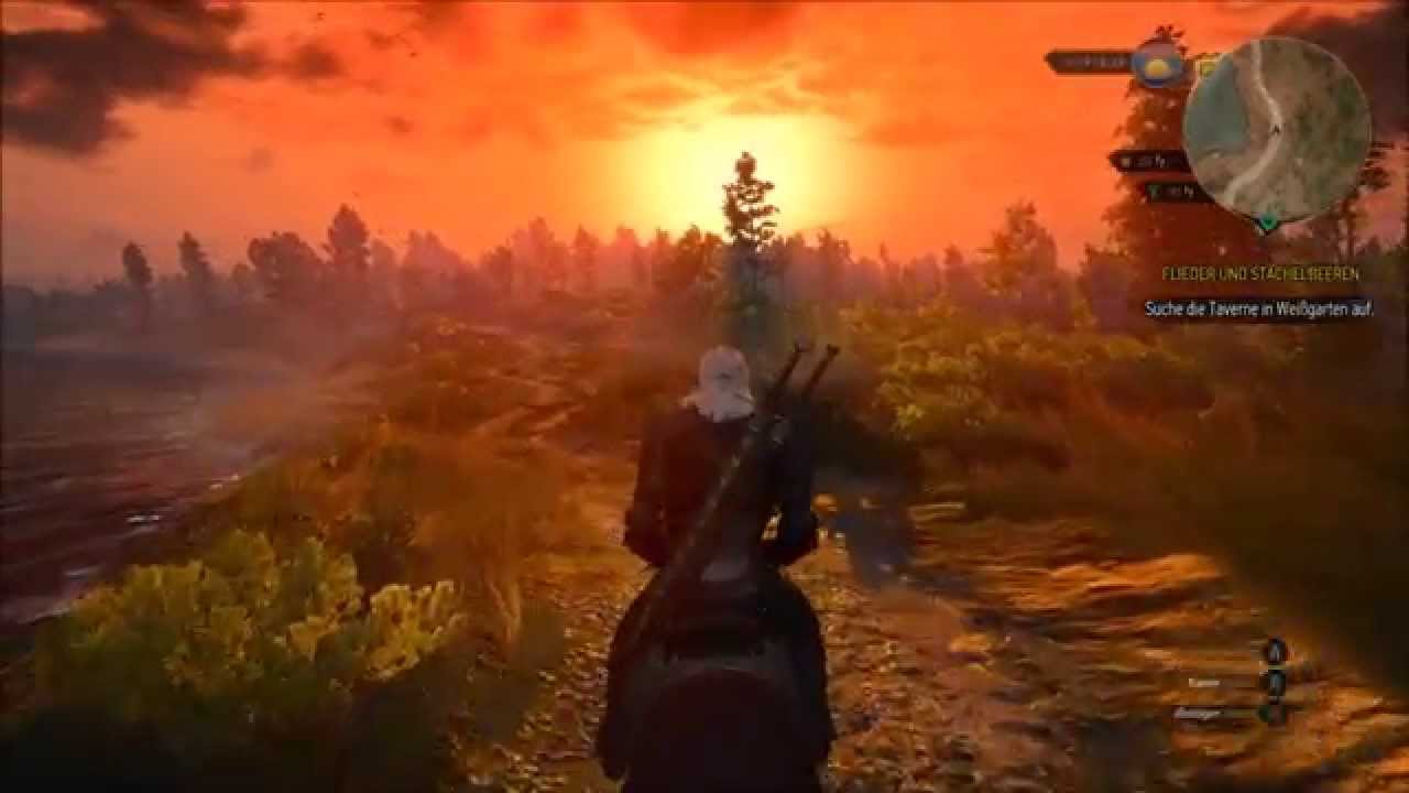 The Witcher 3 The Fields Of Ard Skellig