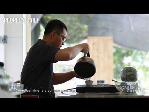 Amazing Green —— Anxi， Fujian