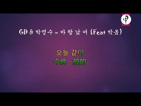 GD &amp; 박명수 – 바 람 났 어 Feat 박봄