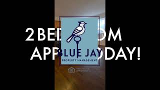 2BEDROOM 1509-T  SPACIOUS 2BEDROOM APPLY NOW