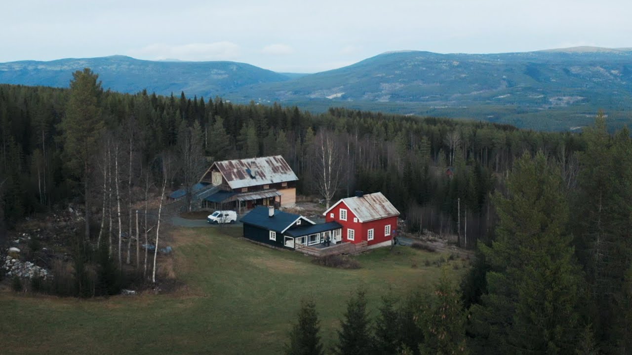 We bought a Farm in the Forests of Norway | #45