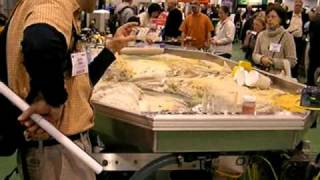 Amazing stream table from Little River Research and Design