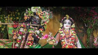 Champaka Grove - A Forest Woven With Fragrance