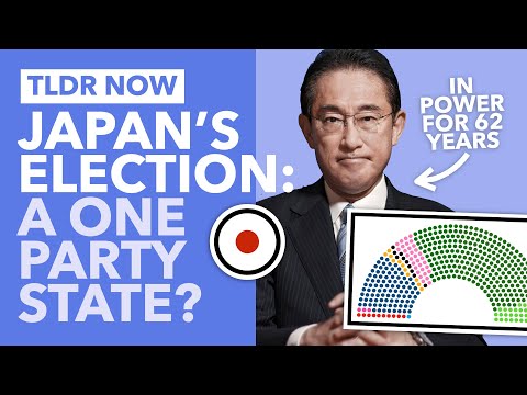 Is Japan A De-Facto One Party State? The Japanese Election Explained - TLDR News