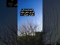 #اكسبلور #الله #اشتراك #ترند #تركيا #حالات #دعم #جزائر #عراقي #explore #edit #education #يوتيوب #حب