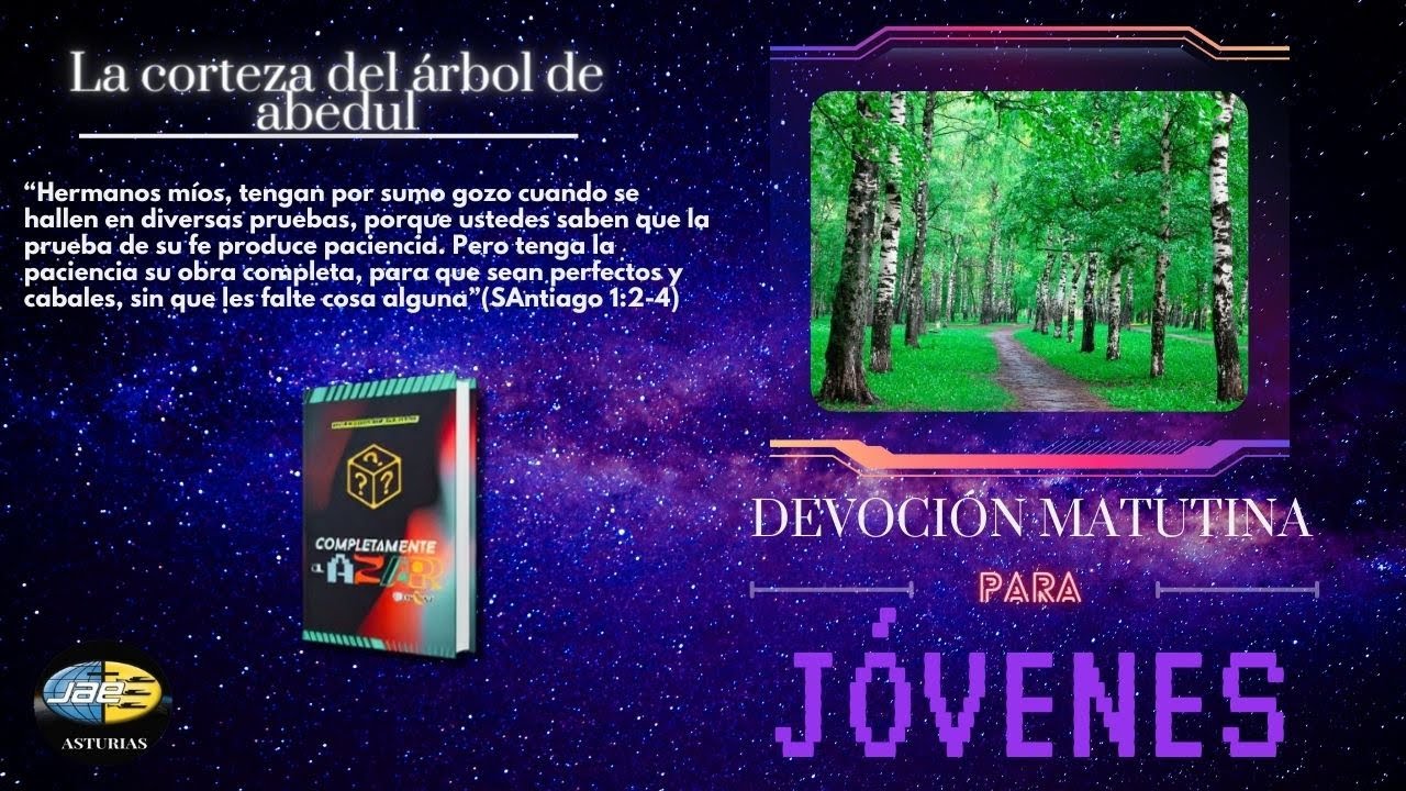 La corteza del árbol de abedul | Reflexiones cristianas para Jóvenes