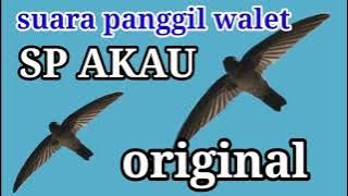 AKAU SP ORIGINAL / suara panggil walet akau original