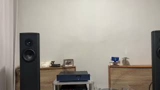 Magico S1mk2 Eloise - Pretend
