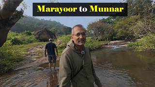 A Drive from Marayoor to Munnar