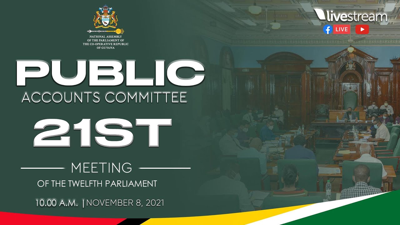 Public Accounts Committee - Twenty-First Meeting