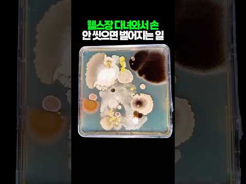 핼스장 다녀와서 손 안 씻으면 벌어지는 일 thumbnail