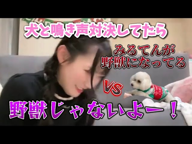 ≠ME ノイミー 11th シリアル付きABC未開封 まとめ売り ≠ME ノイミー