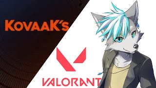 【VALORANT】エイム練習でもしましょうかね！