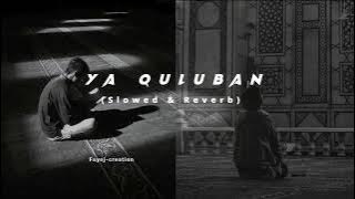 Ya Quluban Nasheed 🥺 Arabic Nasheed ! Slowed And Reverb|| 