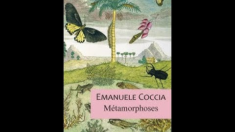 #IICChezVous Emanuele Coccia : Êtres humains, nature et métamorphoses
