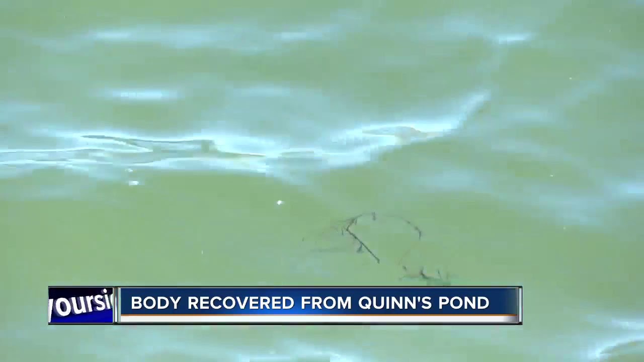 Body recovered after apparent Quinn's Pond drowning YouTube