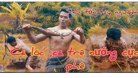 vây bắt  cá lóc và   ca trê nướng tại bờ suối đá sinh tồn tây nguyên thức ăn hoang dã #kalitchannel