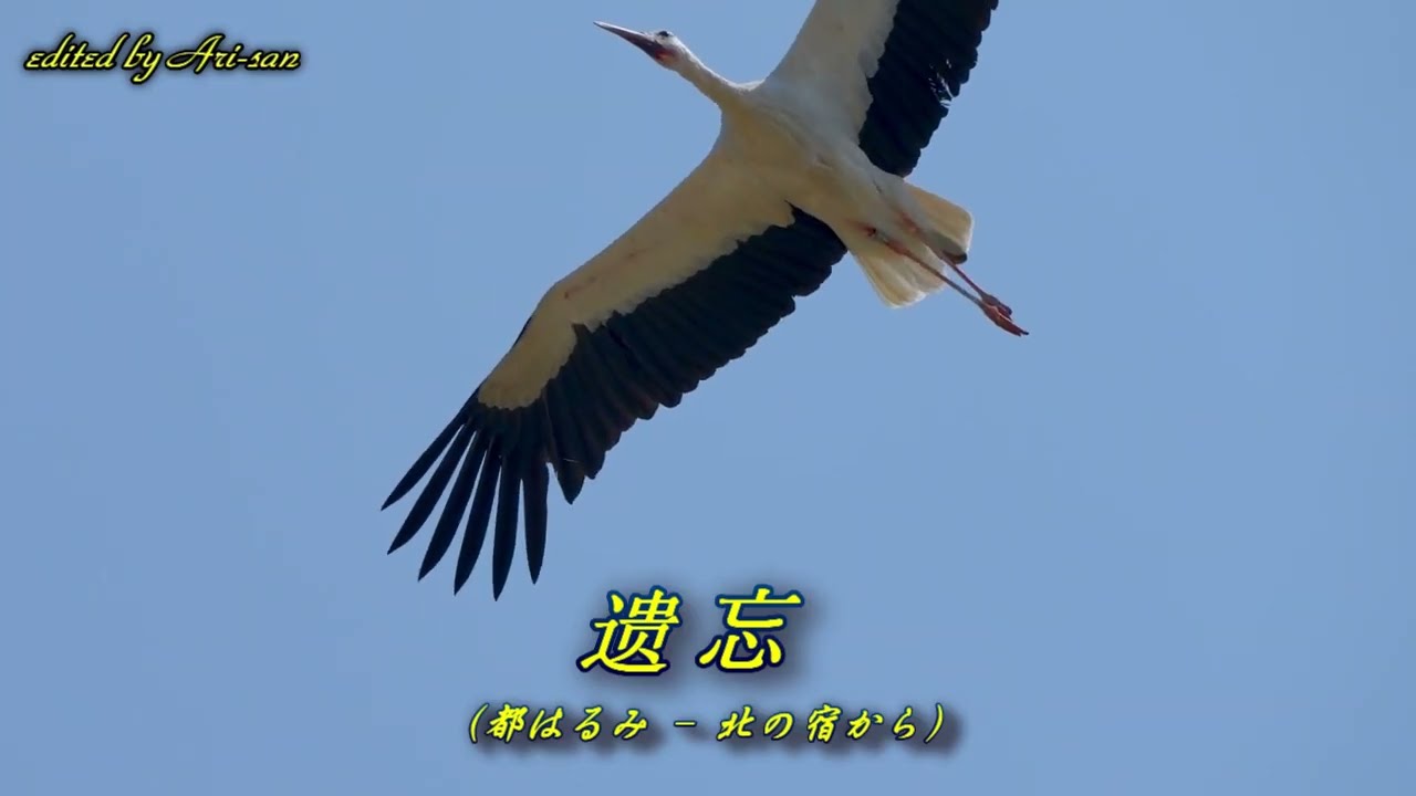 テレサ・テン 中国語カヴァー曲集（中文翻唱歌曲）25曲